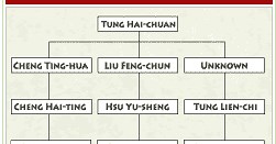 An introduction to swimming dragon baguazhang