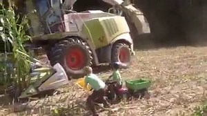 54K views · 339 reactions | Real farm school | Farmer Life | Facebook