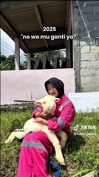 Musikk🎶🎶#baba_farm #peternakdomba #merino #dombamerino #lewatberanda