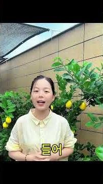 Lemon Tree Basics: Start by Balancing Acidity