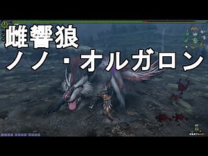 【MHF-G】雌響狼ノノ・オルガロン【モンハン実況】