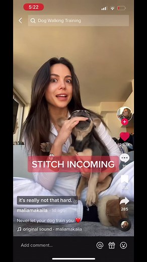 Effective Puppy Teething Training Tips and Proven Techniques