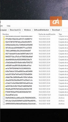 Carpeta de las actualizaciones de Windows #shorts