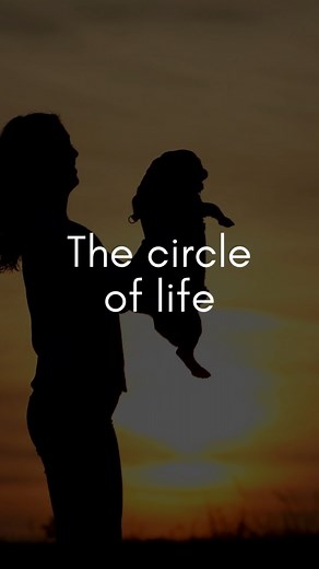 Yesterday was a bittersweet day here at Tiny Paws. A few days ago, we picked up a sweet brindle pug named Pepper from a shelter in Fresno, CA. She had a bad skin infection and wasn’t in good health. We had her on antibiotics, anti-fungal medication, and prednisone to fight off her infections, but yesterday her body decided enough was enough. Our team rushed her to SAGE Emergency Vet in Concord, but Pepper didn’t make it past the doors. She passed away in our arms. While we are devastated and sho