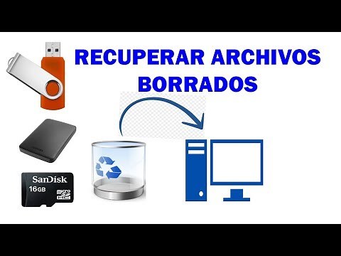 Como recuperar archivos de una USB o del PC Gratis