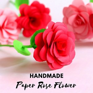 54K views · 1K reactions | Learn how to make paper rose flower at home. #rose #flowers #paperflowers #handmade #diy #craft #papercraft #diyhomedecor #handmadeflowers #howto #tutorial #diycrafts #thelittlecrafties | The Little Crafties | Facebook