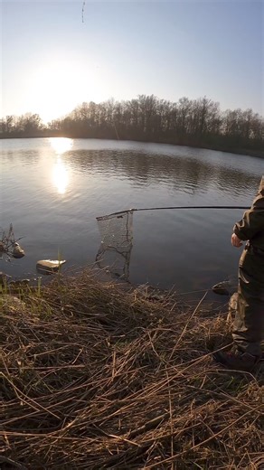 Big zander love to crush Critters 🦞🎣 As the weather finally warms and crayfish become more active, those post spawn fish will be gorging themselves and Critters make a perfect snack that can be fished on an open jig, weedless or as a trailer on a Bladed Jig! 🎥 @steffifi_b #lurefishing #fishinglures #crawfish #creaturebaits #howtofish #zanderfishing #fishingtips | Fox Rage