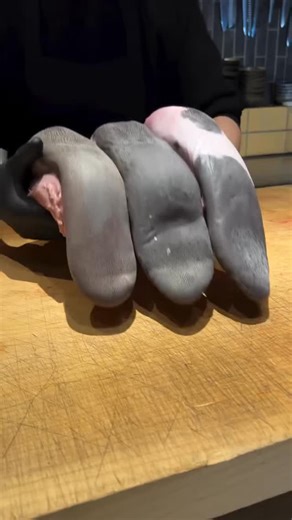 MOTIVATION | MINDSET | SUCCESS on Instagram: "Japan is living in 2050 and here is why🇯🇵🚀 🌧️ On rainy days, stores have umbrella dryers at the entrance. No mess, no wet floors, just instant comfort. 🍰 Japan has laws that require cakes to look exactly like the packaging. What you see is truly what you get. 👟 Shoe stores use machines that scan and measure your feet in seconds for a perfect fit. 🚇 Subway stations have automatic platforms that lift to help people safely get on and off trains.