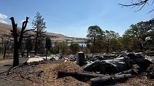 Recovery efforts continue in Columbia River Gorge after Rowena Fire devastation