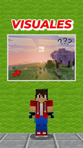 Did you know this about Vibrant Visuals in Minecraft? #minecraft #shorts
