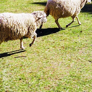 Cody・Lee(李)は“さよuなら”を越えてがむしゃらに歩いてゆく──新曲“涙を隠して(Boys Don't Cry)”を聴いて (ROCKIN'ON JAPAN 編集部日記)－rockinon.com｜https://rockinon.com/blog/japan/208008