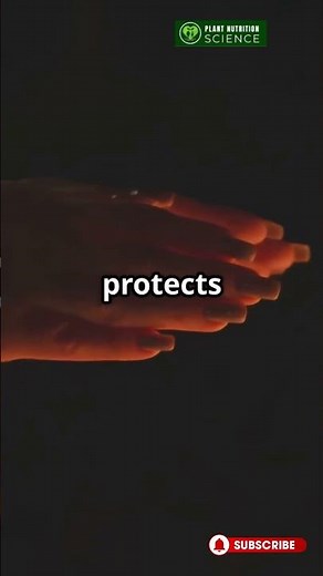 Cold Hands Even When You’re Warm It’s Not the Temperature | PNS