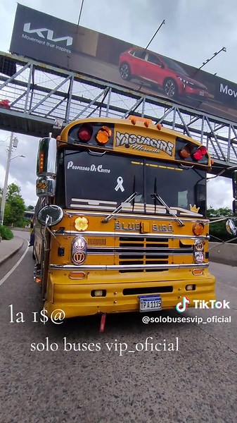 solo buses vip_ oficial on TikTok