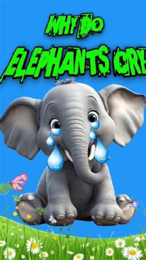why elephants cry #ytshorts #shortvideo #facts