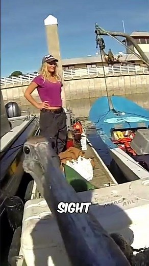 Why Pelicans Want To Eat Everything?