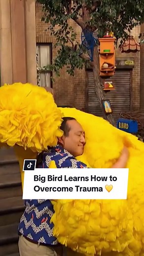 When a child experiences trauma, it can affect them in many ways. There are simple ways for caring grown-ups to comfort children. For resources, visit the link in our profile. 💛 #SesameStreet #BigBird #BigFeelings #Parenting #Resources