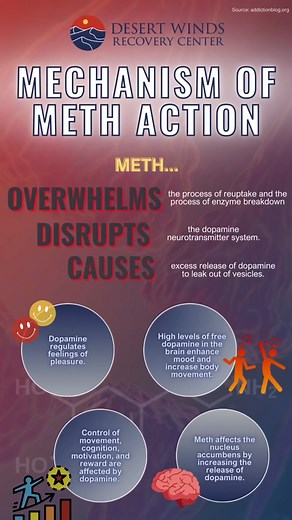 Methamphetamines (meth) is a highly addictive stimulant that affects your sense of reward, motivation, the experience of pleasure, and motor function. Chronic use affects dopaminergic neurons in limbic reward system structures such as the VTA and nucleus accumbens. These effects underlie addiction. Meth affects dopamine. It disrupts the dopamine neurotransmitter system, causes excess release of dopamine to leak out of vesicles, and overwhelms the process of reuptake and the process of enzyme bre