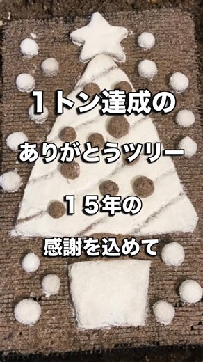 まるまど｜庭から自然の恵み・色遊び on Instagram: "今年、ミミズたちが食べてくれた生ゴミの総重量がとうとう 1トンを超えました。 15年かけて少しずつ積み重ねた数字。 思い返すと、なんだか胸がじんわり。 その感謝を形にしたくて、バナナの皮と卵の殻パウダーで“ありがとうクリスマスツリー” を作りました。 タイムラプスで見ると、最初は右側から、 最後は雪が中央に集まるようにして、約２日間かけて全部きれいに食べてくれました。 生ゴミがゴミじゃなくて、来年の畑を育ててくれる命の循環になること。 毎年、ミミズたちが教えてくれています。 見てくれたみなさんも、一緒にほっこりしてもらえたらうれしいです🌱🎄 #ミミズコンポスト #生ゴミ1トン突破 #家庭菜園のある暮らし #コンポストライフ #クリスマスリール"