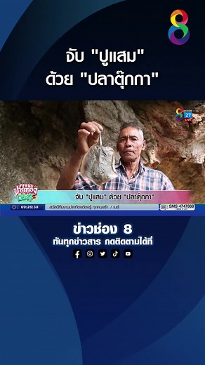 จับปูแสมด้วยปลาตุ๊กกาในประจวบคีรีขันธ์
