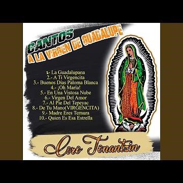 Al Pie del Tepeyac