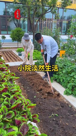 一方小院，與家人一起忙碌，很開心#種菜#田園生活 | 半隱田園