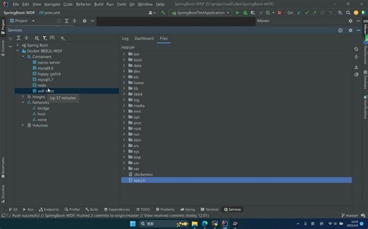 idea连接远程docker教程