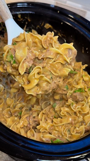 💜 Tara “T” Ippolito on Instagram: "This is one of the very first recipes that I shared on social media back in 2012😱. Comment “link” & I’ll DM you the recipe. You can also hit the link in my bio and it will take you to my website 🚀. . . #crockpot #easyrecipeideas #beefstroganoff #noodles #dinnerrecipe #recipes"