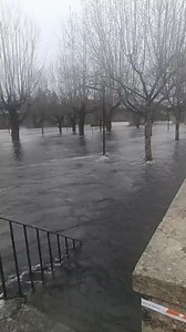 🌊 Ponte da Barca em Alerta! Rio Já Saltou as Margens! | Zika Teixeira