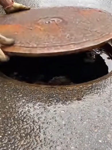 Effective Drain Cleaning Solutions for a Smell-Free Home