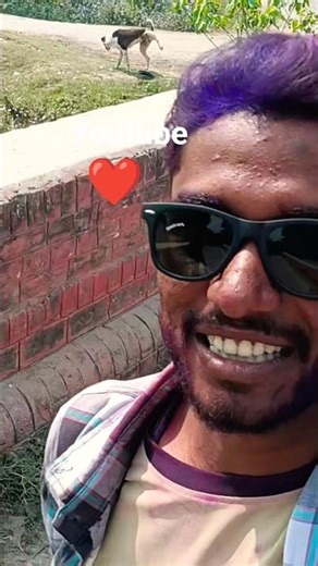 #trending #funny #automobile #vlog #‪@shfa-1‬ #‪@mohieomran9650‬ #‪@Round2hell‬ #‪@MrBeast2‬