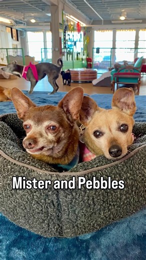 19K views · 1.2K reactions | Saturday, June 7 is California...