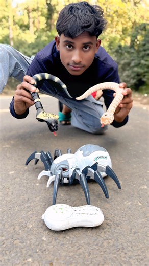 2 ta Remote Control Makadee And RC Snake #short #feed