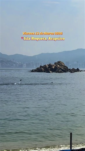 Show de mantarrayas en la Isla de la Roqueta🌴🌊✨🐠 #Acapulco #mantarrayas #islaroquetaacapulco #turismomexico #viralvideo