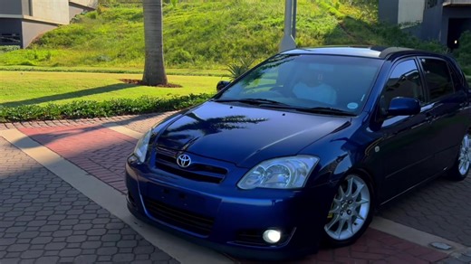 Fresh Runx RSI Review: Clean Toy Showcase