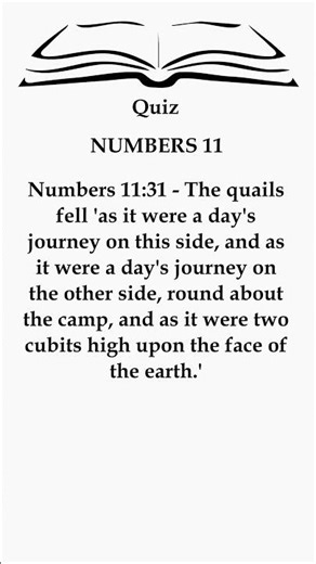 🤯 God's Incredible Quail Miracle! | Numbers 11 Explained ✨