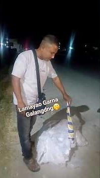 Lamayao Mwnnai Kwonw Janw Lana Pwibai !