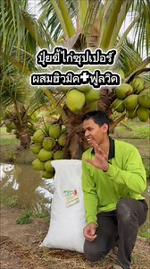 ปุ๋ยขี่ไก่อัดเม็ด กระสอบ 20 โล #ปุ๋ยขี้ไก่ #ขี้ไก่อัดเม็ด #ปุ๋ยอินทรย์ #ปุ๋ยต้นไม้ | Pongsakorn Kerdmongkon
