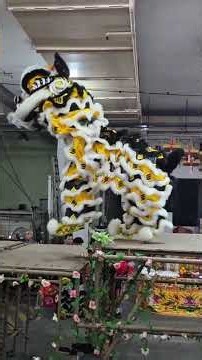 [4K] 關善壇龍獅學院 Team Kuan San Tang | Traditional Lion Dance | 1 Aug 2026