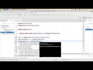 10 JAVA Networking URL Connection