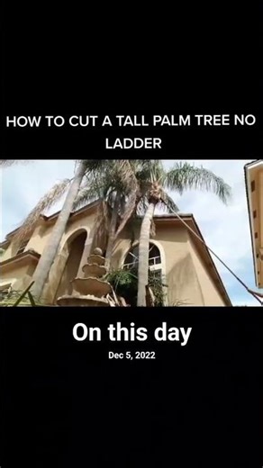 epic tree fails