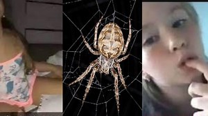(Sin Censura) Video Completo Junio La Niña Araña Viral En Twitter Link @babybeka101 Twitter 2022 - Cara Mesin