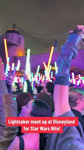 Fat Guy Jedi was in the thick of it at Star Wars night at Disneyland! #disneyland #starwarsnite2024 #lightsaber #starwars #disney