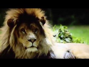 Opening To Postman Pat The Complete Series 2 2014 UK DVD