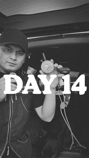 Mini Educator: Effective Dog Training Solution