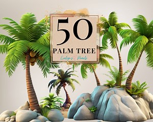 Palm Tree Clipart Desert Tree PNG Desert Plant Clipart Desert PNG Tropical Clipart Nature PNG Nursery | Commercial Use Clipart Transparent - Etsy
