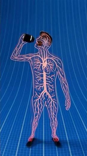 How does creatine work?#creatinemonohydrate