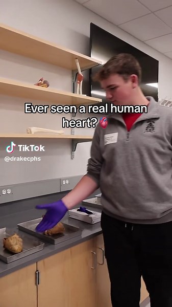 Drake CPHS on TikTok