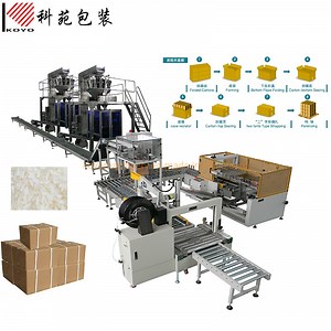 [Hot Item] Automatic Case Packer Packaging Line for Baler Fill Rice Bag Pouch with Carton Sealer