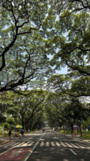 12K views · 56 reactions |  Check out the UPCAT story of one of our instructors at Kippap! Get inspired and start your journey to acing your exams with us. ✨ #UPCATJourney #CollegeReady #KippapLearning #Kippap | Kippap Learning | Facebook