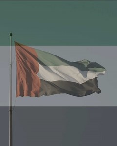 Understanding the Legacy of Mohammed Bin Zayed in the UAE